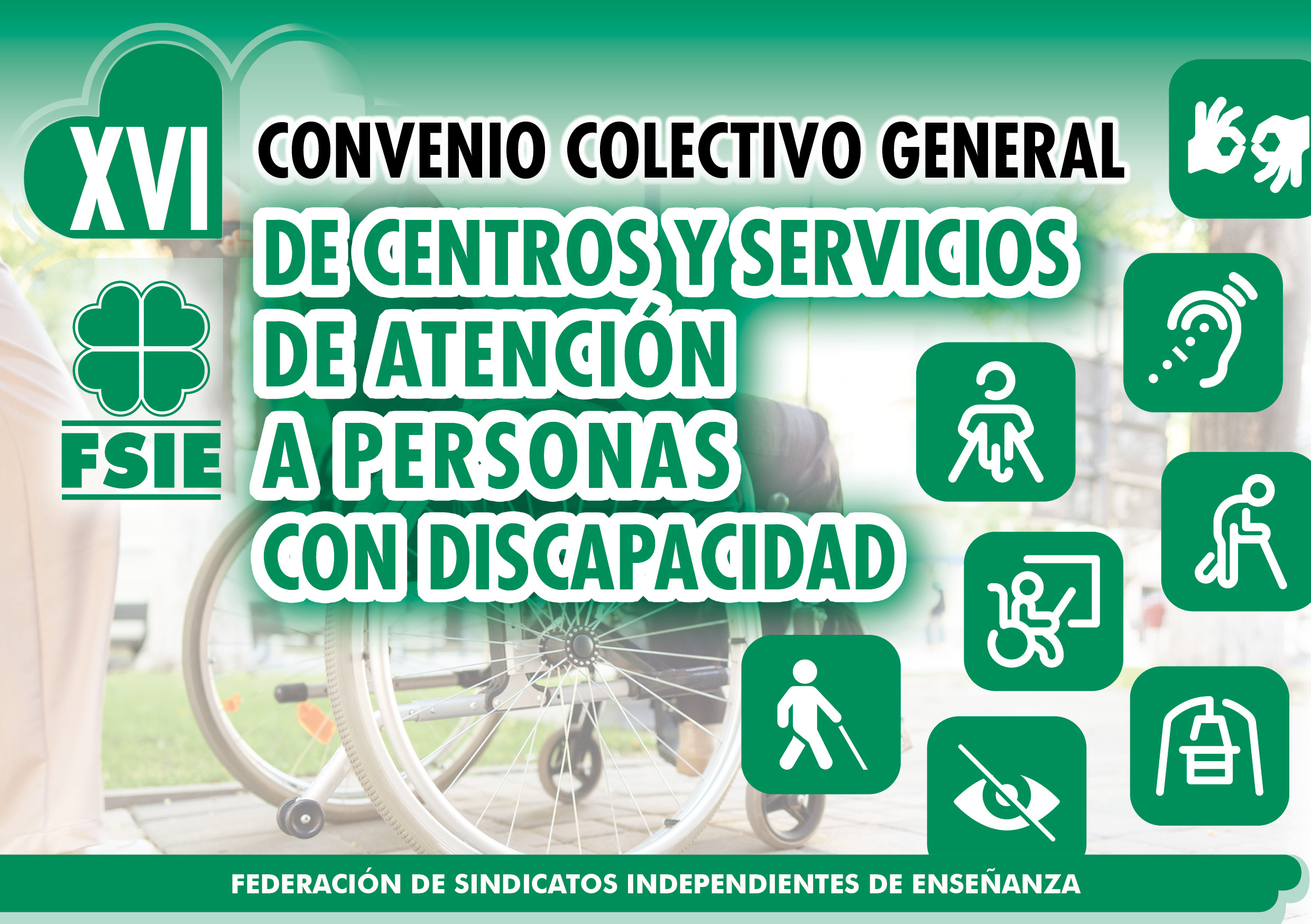 XV Convenio Discapacidad