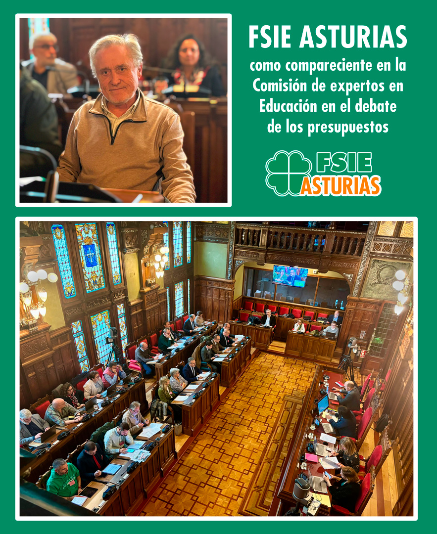 FSIE Asturias 2025 12 11 Comision expertos